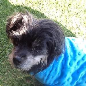 Meet your Posher, Annette